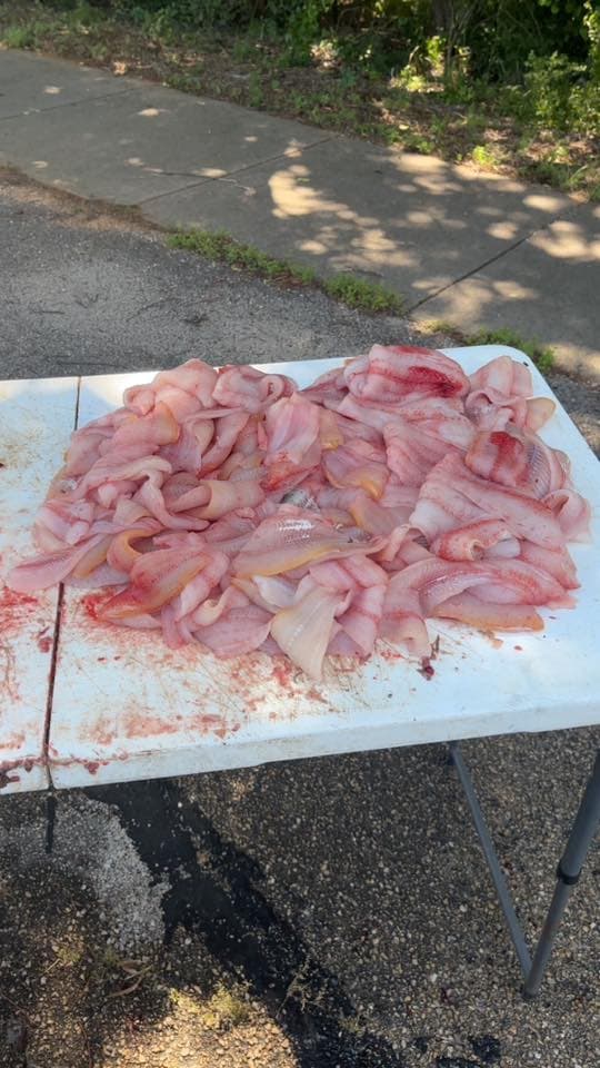 Fresh fish fillets ready for the skillet